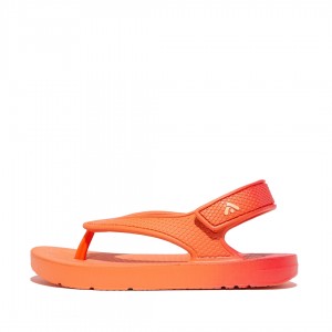 Kids' Fitflop Iqushion Eva Flip Flops Red | ZA-76PUMIWJS